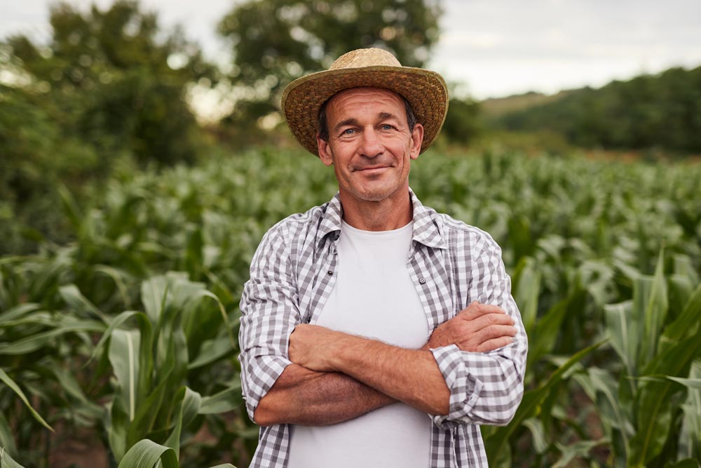 Expert-comptable à Béziers, Agriculteur 